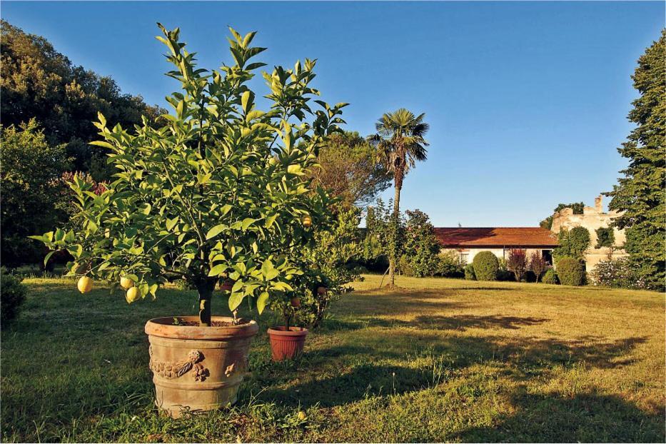 Fattoria Agriturismo Bigongiari Lucca Ngoại thất bức ảnh