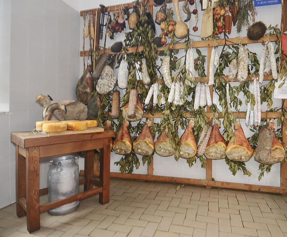 Fattoria Agriturismo Bigongiari Lucca Ngoại thất bức ảnh